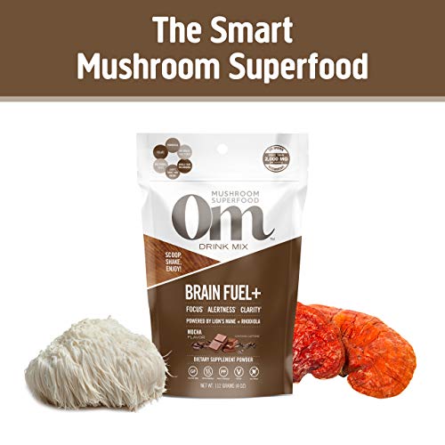 Om Mushroom Superfood Brain Fuel Plus Mushroom Powder Drink Mix, Mocha Flavor, 4 Ounce, 15 Servings, Lions Mane & Rhodiola, Memory & Focus Support Supplement