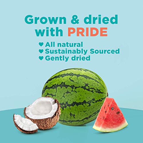 RIND Snacks Coco-Melon Dried Fruit Superfood, Organic Coconut, Watermelon, High Fiber, Vegan, Paleo, Non-GMO 2.75oz, 3 Pack