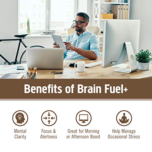 Om Mushroom Superfood Brain Fuel Plus Mushroom Powder Drink Mix, Mocha Flavor, 4 Ounce, 15 Servings, Lions Mane & Rhodiola, Memory & Focus Support Supplement