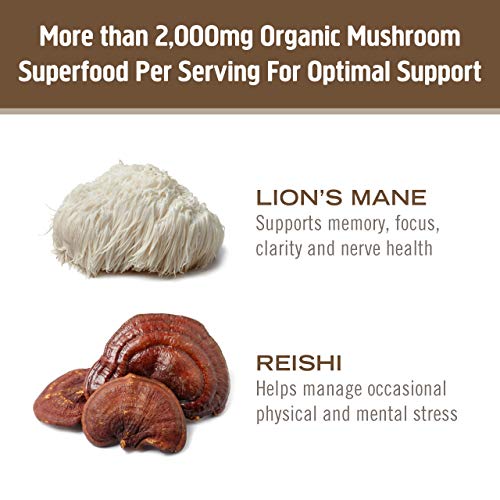 Om Mushroom Superfood Brain Fuel Plus Mushroom Powder Drink Mix, Mocha Flavor, 4 Ounce, 15 Servings, Lions Mane & Rhodiola, Memory & Focus Support Supplement